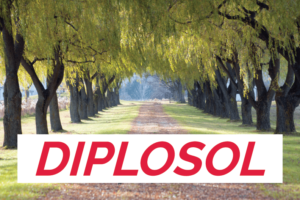 Diplosol Logo